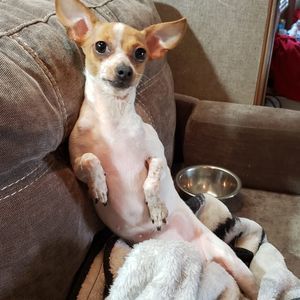 Meet your Posher, Tonda